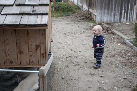 Malachi with the chickens, photo by Hannah