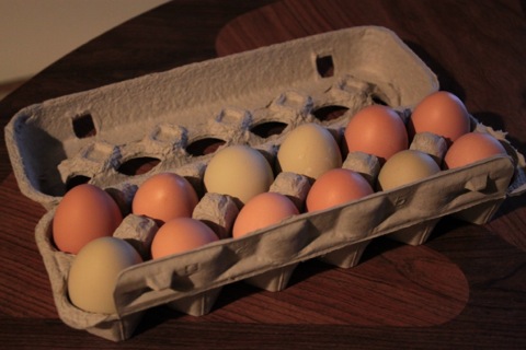 A dozen brown and grey-green eggs