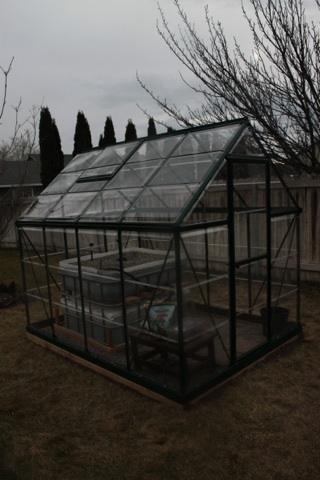 Greenhouse in our yard