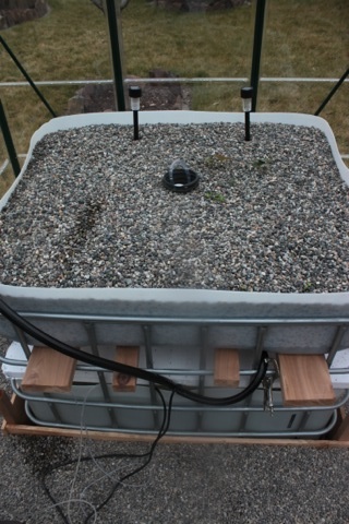 Interior of greenhouse, with gravel on floor