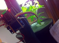 Arduino with WiFi shield on an AeroGarden