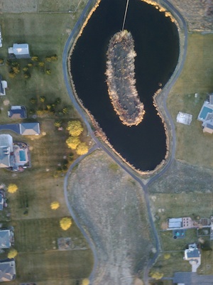Island in lake at local Park of the Lakes, blurry shot from smartphone camera high above